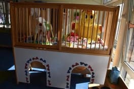 SkippyPepijn KDV Possum foto 4