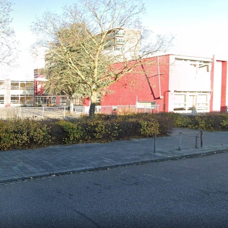 Zonnelicht Driestroom foto 7