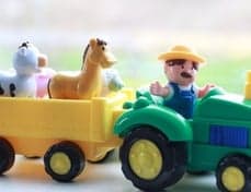 Het Vlinderveld foto 7