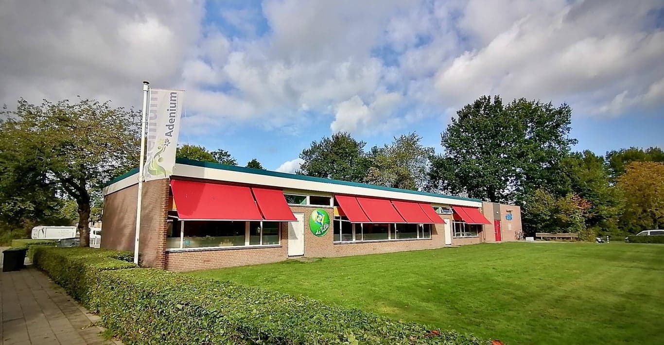 Kinderwoud De Tille 3