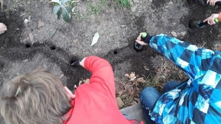 Kastanjetuin foto 10