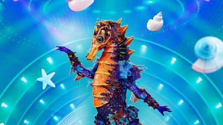 De Zeepaardjes foto 5