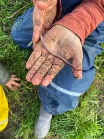 Groene kinderopvang 't Werkel 2