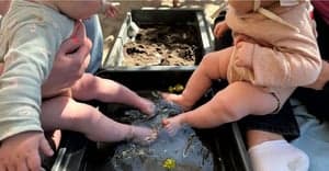 Groene kinderopvang 't Werkel 3