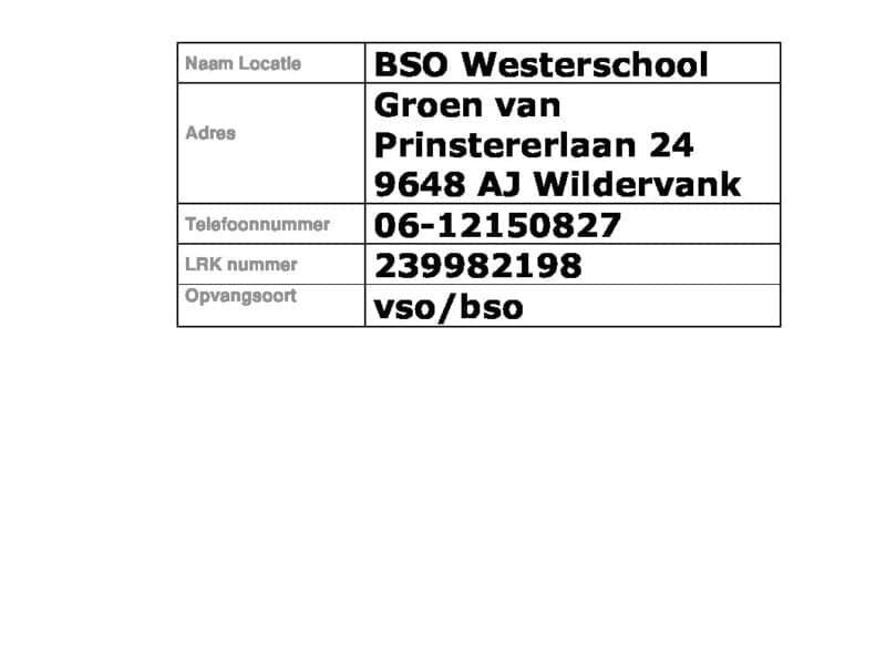 BSO Westerschool foto 8