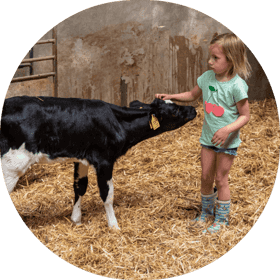 Agrarisch kinderdagverblijf Spieringhof B.V. 3