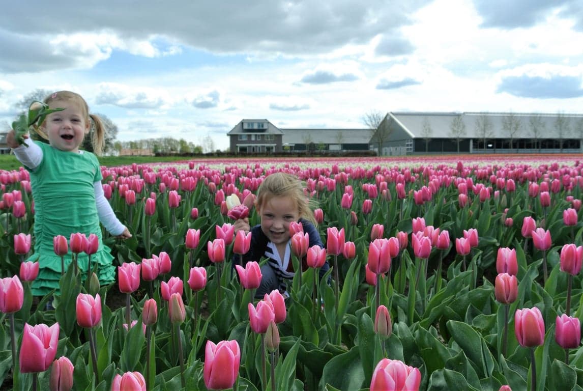Agrarisch kinderdagverblijf Spieringhof B.V. foto 5
