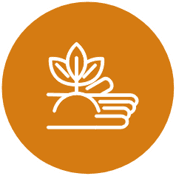 Agrarisch kinderdagverblijf Spieringhof B.V. foto 10