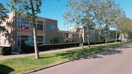 Zonnelicht aan de Oosterplas