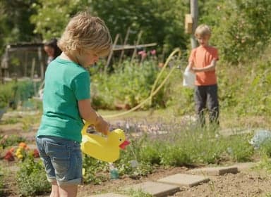 Zonnelicht aan de Oosterplas foto 8