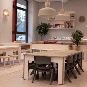 PSZ Dromendans foto 4