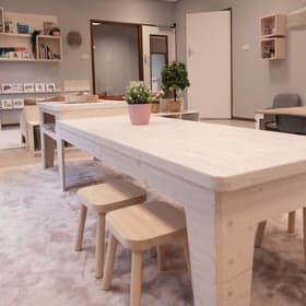 PSZ Dromendans foto 6