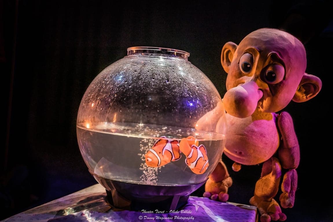 Olleke Bolleke foto 5