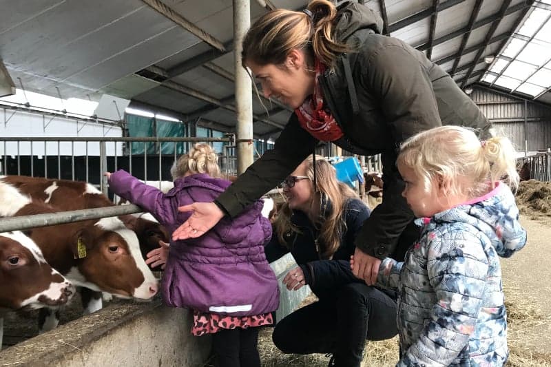 Polderpeuters bij Boer Bert 3