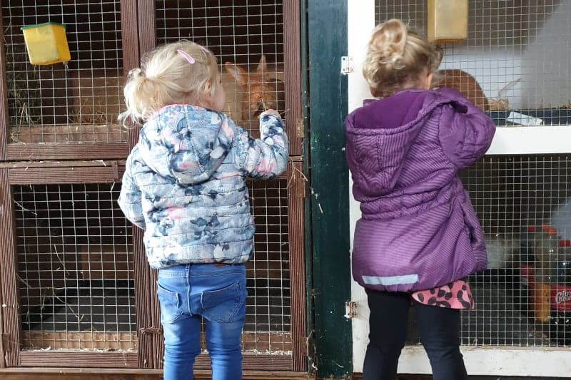 Polderpeuters bij Boer Bert foto 5