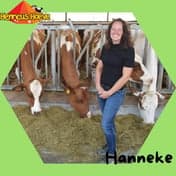 BSO Henricus Hoeve foto 4