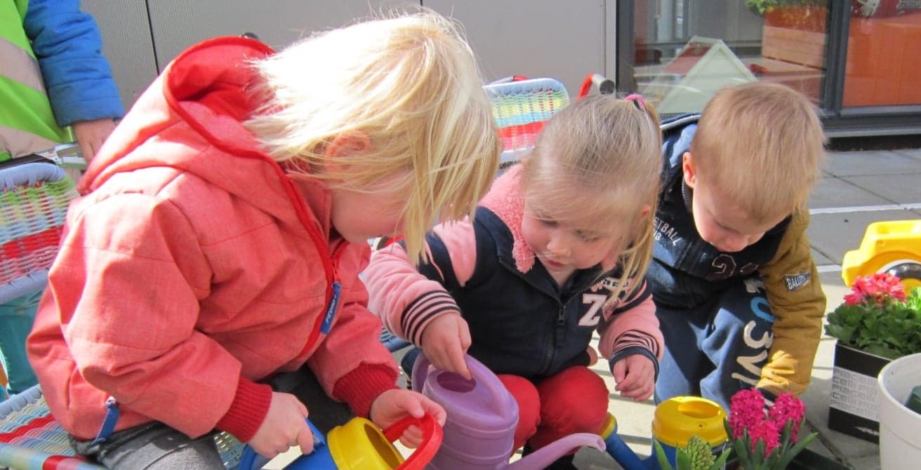 KDV Zuidlaren IKC De Zuid-Wester