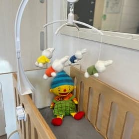 Hoppas Dussen foto 9