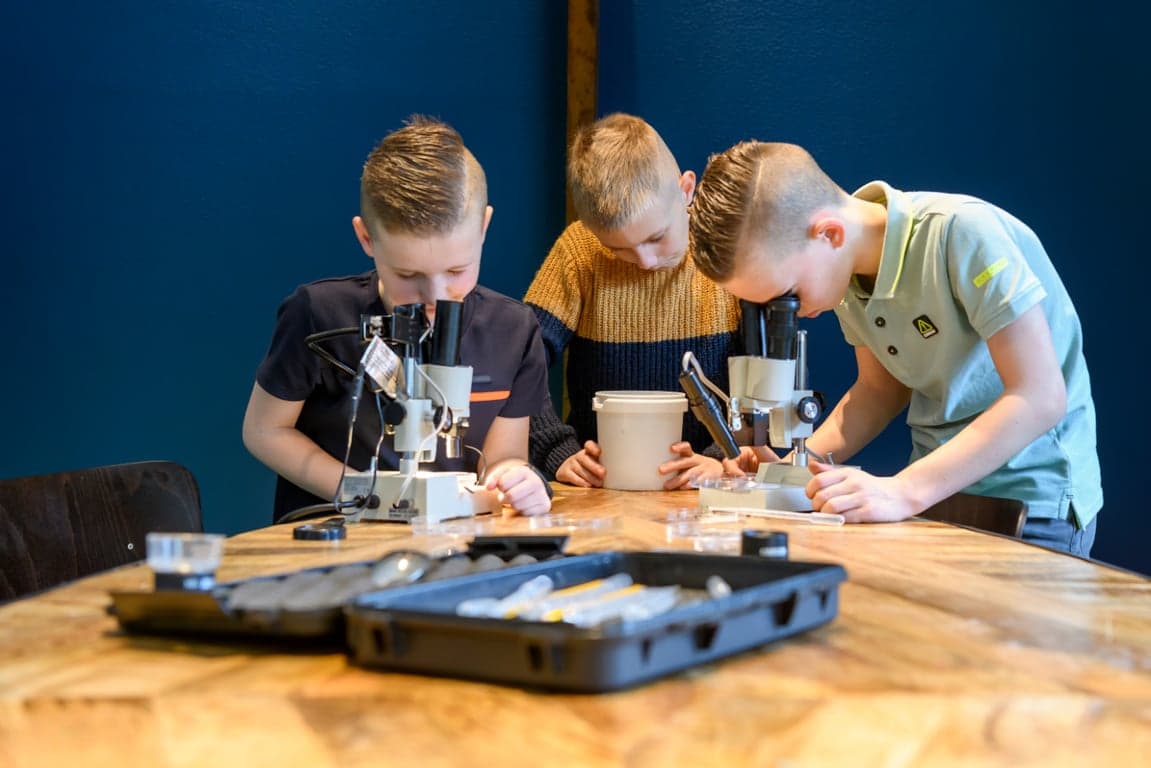 BSO Hasseltse Poorten foto 8