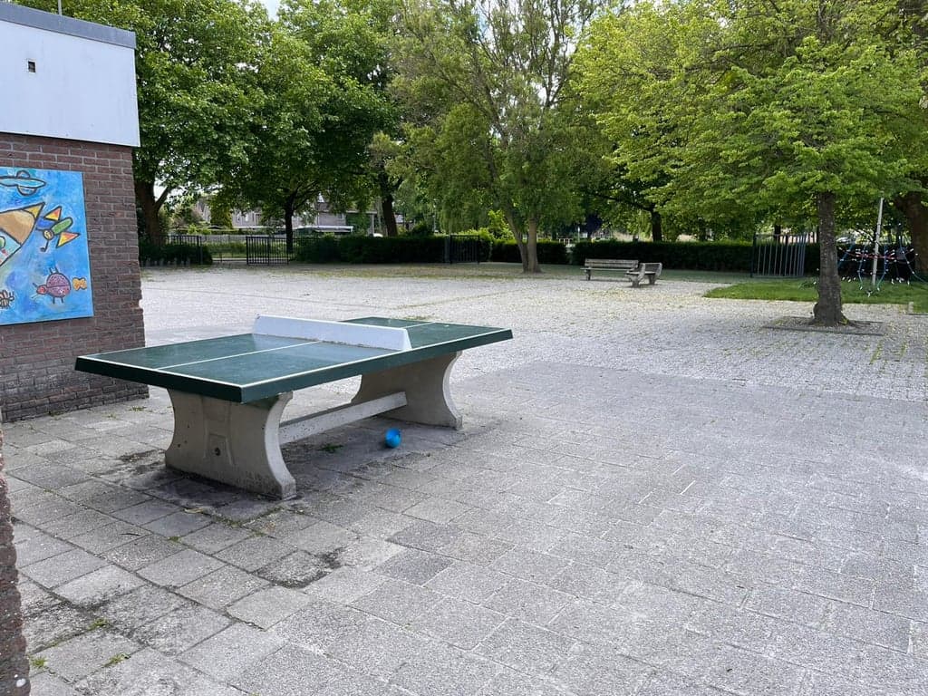 BSO Bamba locatie Haimstee foto 4