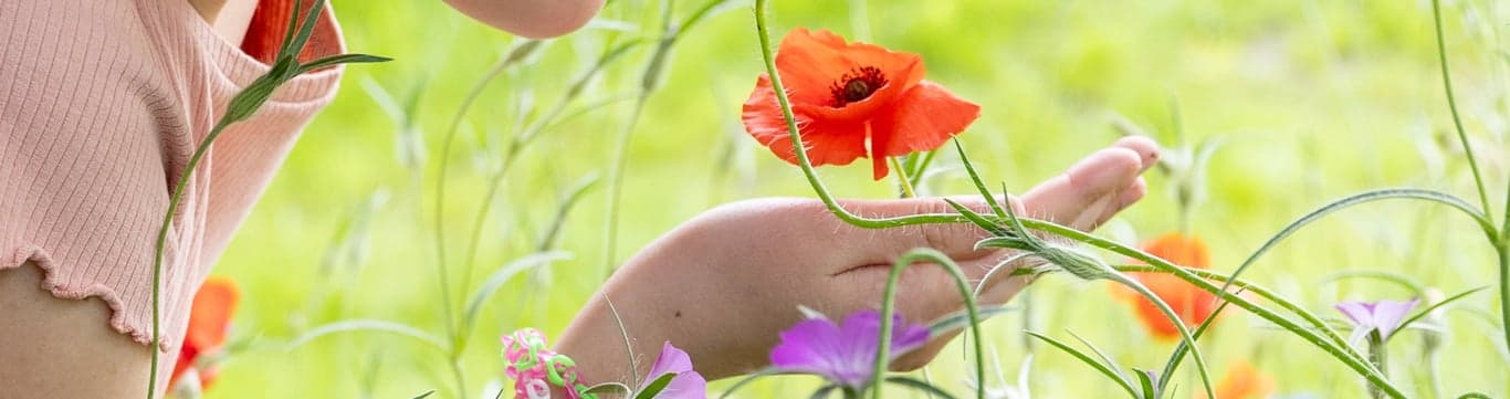 Vandaag BSO De Lawei foto 7