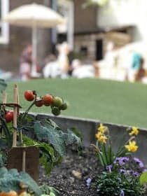 Noppie Kinderopvang foto 10