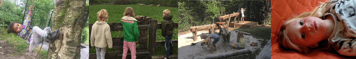 BSO De Hasselbraam Bernebrêge foto 4