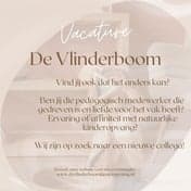 de Vlinderboom bewuste kinderopvang foto 7
