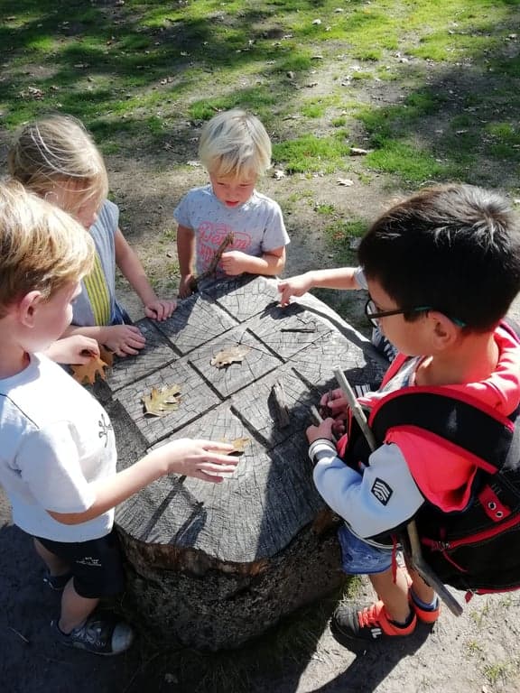 Sport en Spel BSO De Koningsbeer foto 5