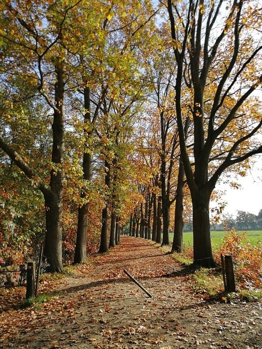 SNOAchterveld foto 4