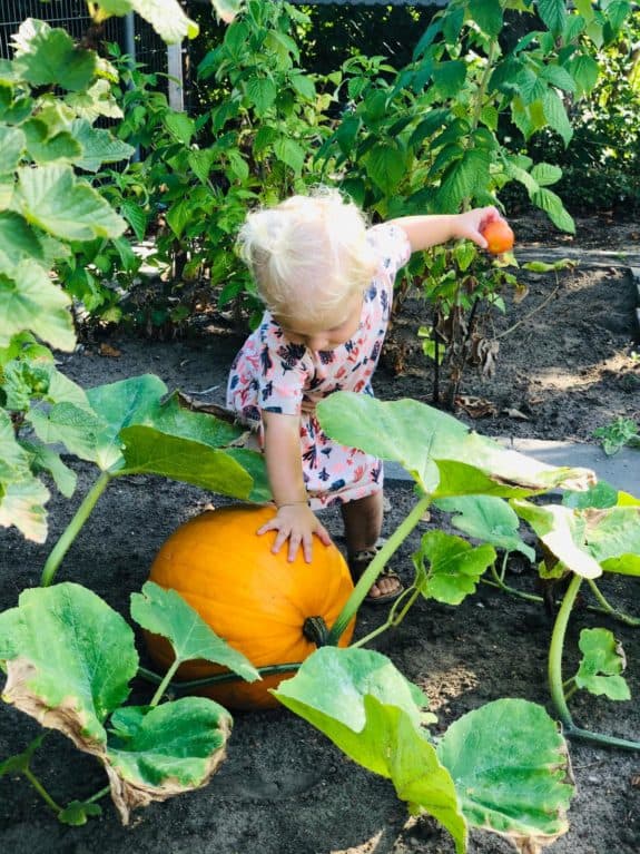 KDV Chapeau Est foto 10