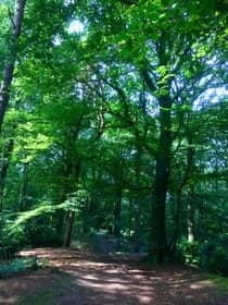 BSO KeizerKarel foto 8