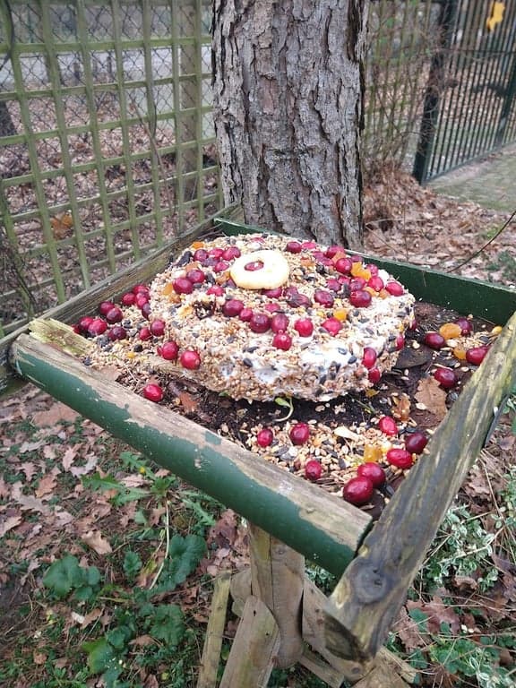 De Kastanjetuin foto 8