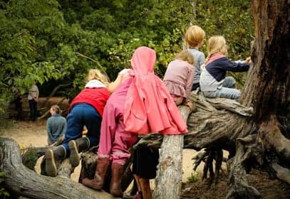 BSO De Vuurvogel foto 6