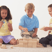 Wasko De Kameleon BSO 2