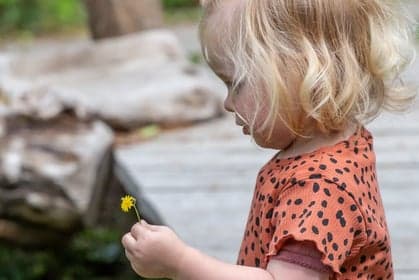 KDV peutermeespeelgroep Sprankel! foto 6