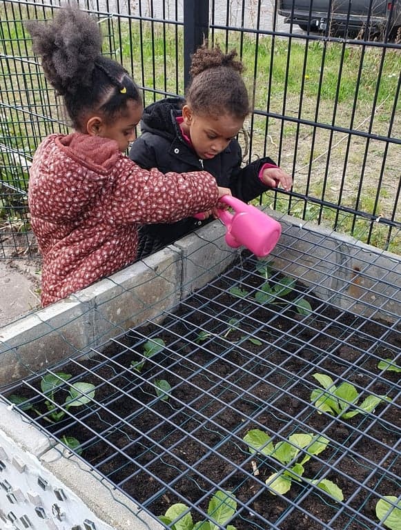 Sheppard's House foto 4