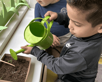 Kinderdagverblijf De Groene Boomhut foto 6