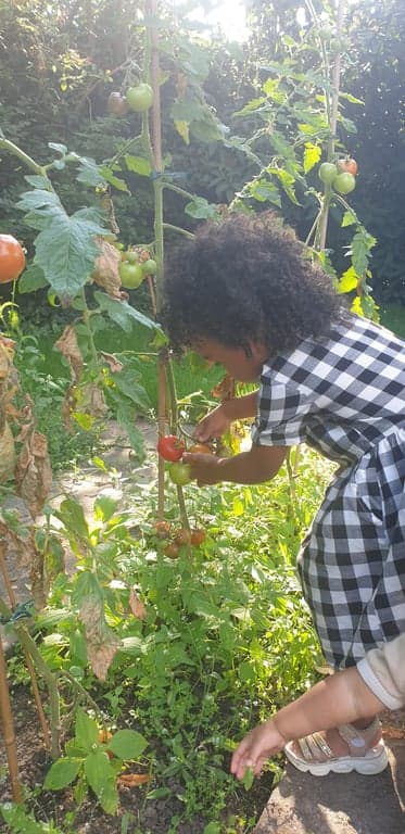 BSO IKC BinnensteBuiten foto 8