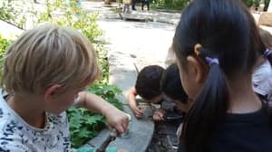 Montessori Kindcentrum Delft foto 9