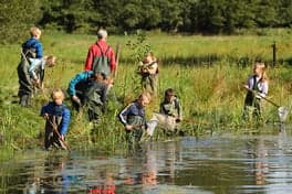 Kindcentrum De Groene Borg foto 8