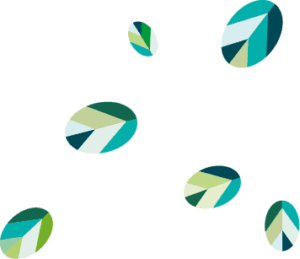 Holland Kinderopvang Michiel ten Hovestraat foto 6