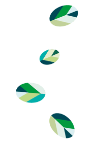 Holland Kinderopvang Michiel ten Hovestraat foto 8