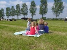 Boerderij de Zonnestraal foto 6