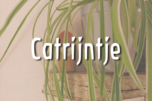 Voorschool Catootje foto 4