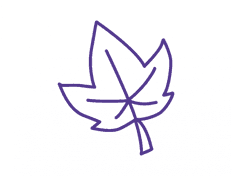 SKSG Regenboog foto 6