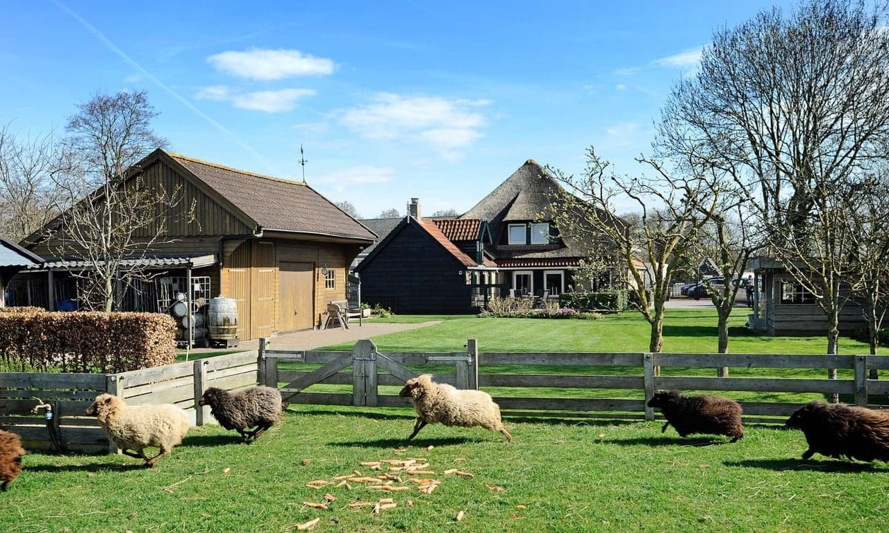Kinderopvang Hollands Kroon Hippolytushoef foto 4
