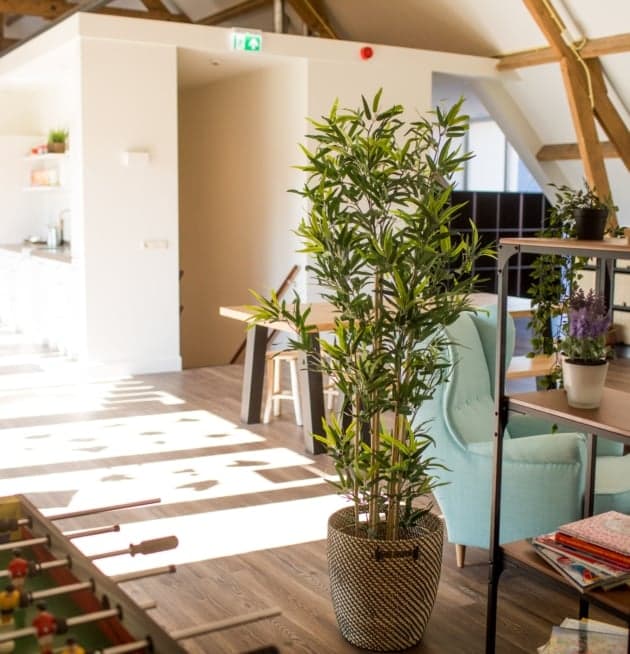 Buitenschoolse Opvang De Hooizolder 3