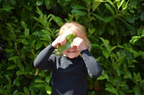 Scharrelpeuters ZON! Groen foto 9