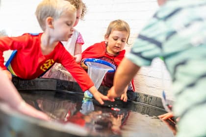 Peuterspeelzaal Kikkerhof 2